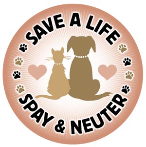 What is the difference between spay and neuter?